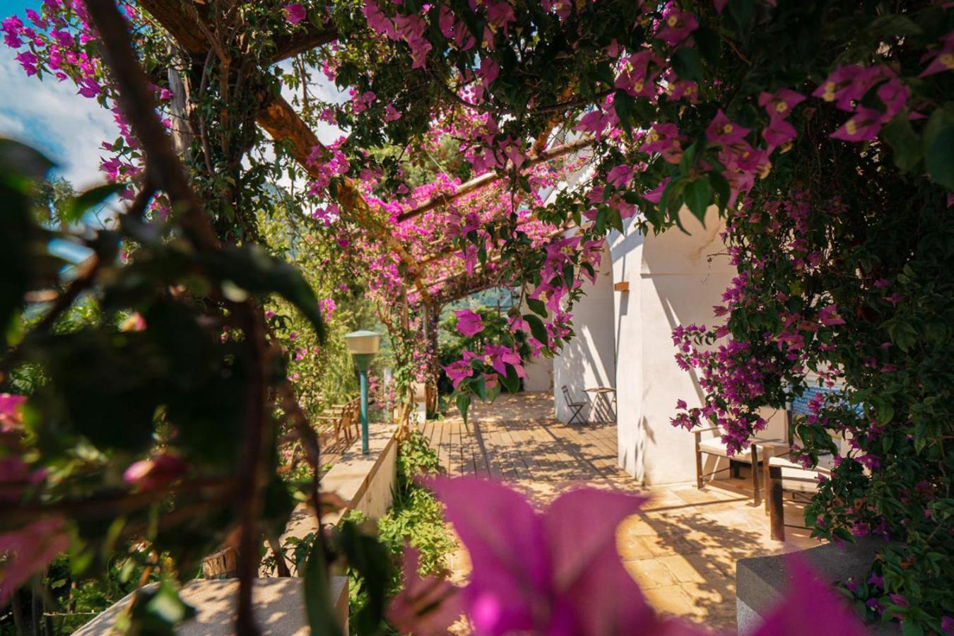Casa Flora II B&B Vietri Exterior foto